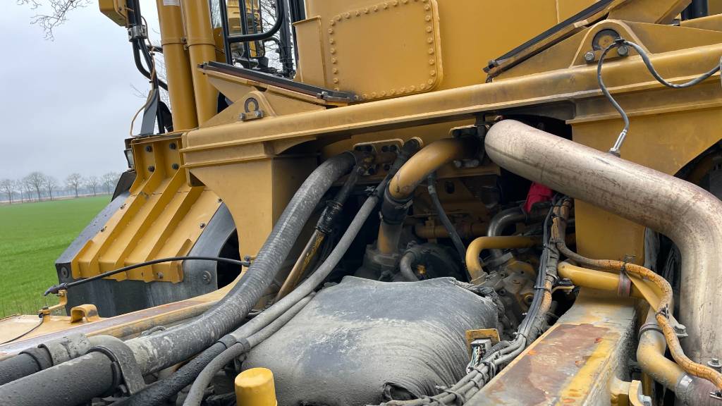 cat-770,7c612d23